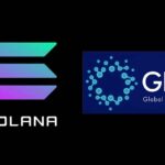 Solana NFT sensation nets $10M, GFOX becomes presale outlier