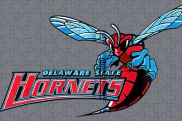 Delaware State football